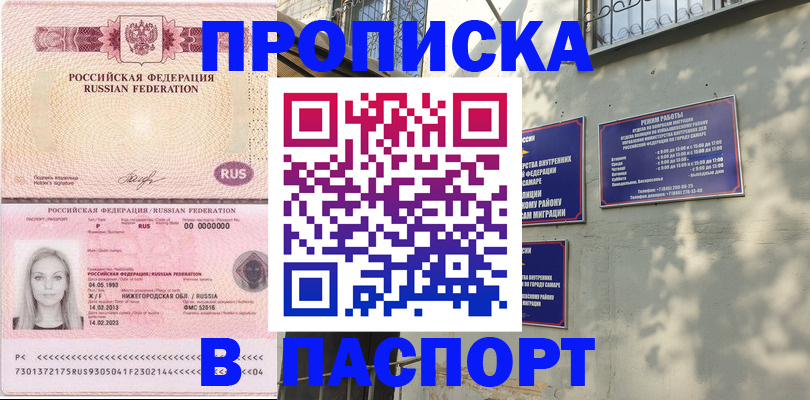 прописка в Шебекино